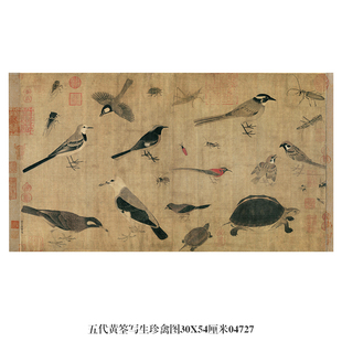 五代黄筌写生珍禽图挂画花鸟画国画卷轴仿古画名人字画复制品