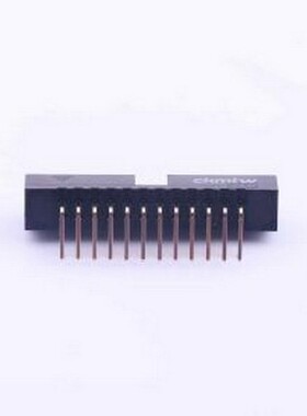 B-3002R24P-0110 IDC刺破式连接器(牛角/简牛) 2mm 2x12P 排数:2