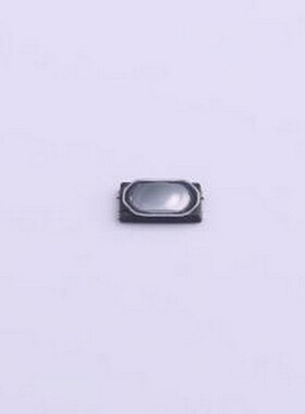 1TS028B-3000-0453-CT 轻触开关 2.8*1.9*0.45mm 立贴 轻触开关 S