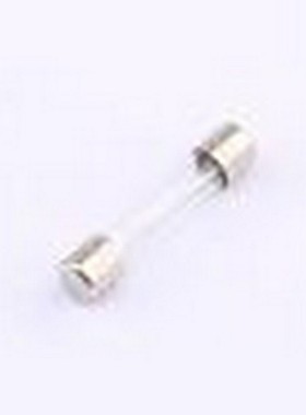 0313007.HXP 一次性保险丝 250V