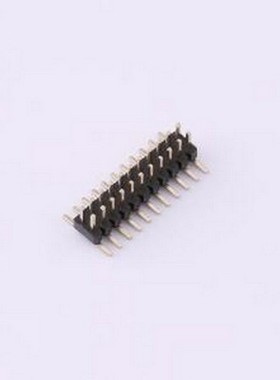 PZ1.0-US2S-11A 排针 1.0PH H1.0 2x11Pin SMT W2.3PC5.0 PA2.0 P