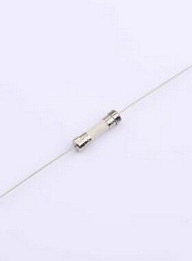 0216.125MXEP 一次性保险丝 0.125A 250V 快断 插件,D6xL22.5mm