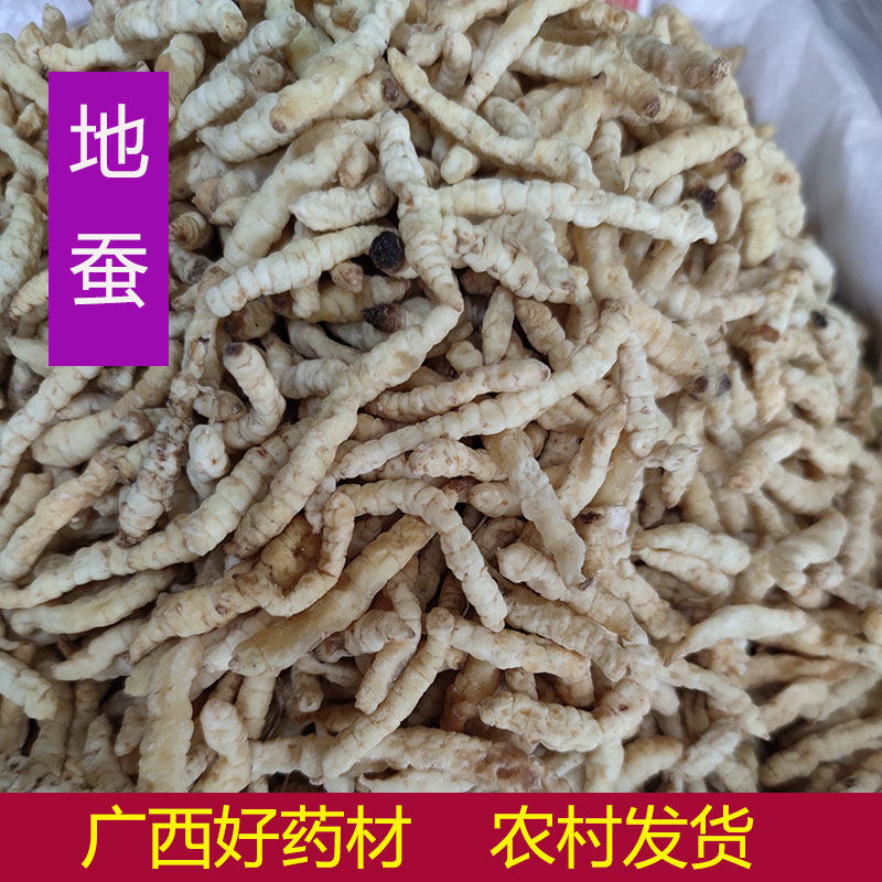 地蚕草 广西野生 无硫正品干货 中药材泽兰根 地葫芦地枯牛500克