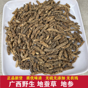 地蚕草 广西野生 地参新货正品干货 中药材泽兰根 地葫芦地枯牛