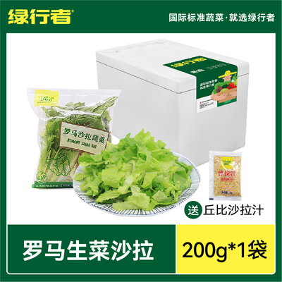 绿行者沙拉菜即食新鲜生菜200g