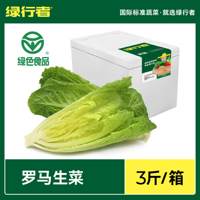 【绿行者】罗马生菜新鲜蔬菜沙拉菜轻食西餐沙拉绿叶低脂轻食3斤