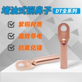 300平方鼻子接线鼻接线端子铜线耳堵油铜接头 A级国标DT