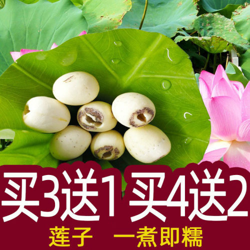 百合去芯干货100g包邮银耳莲子