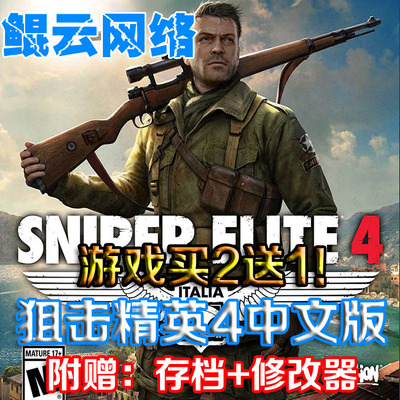 买2送1二战射击PC单机游戏 狙击精英4中文版 含通关存档 修改