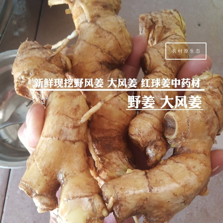 大风姜,大风,刮大风_大山谷图库