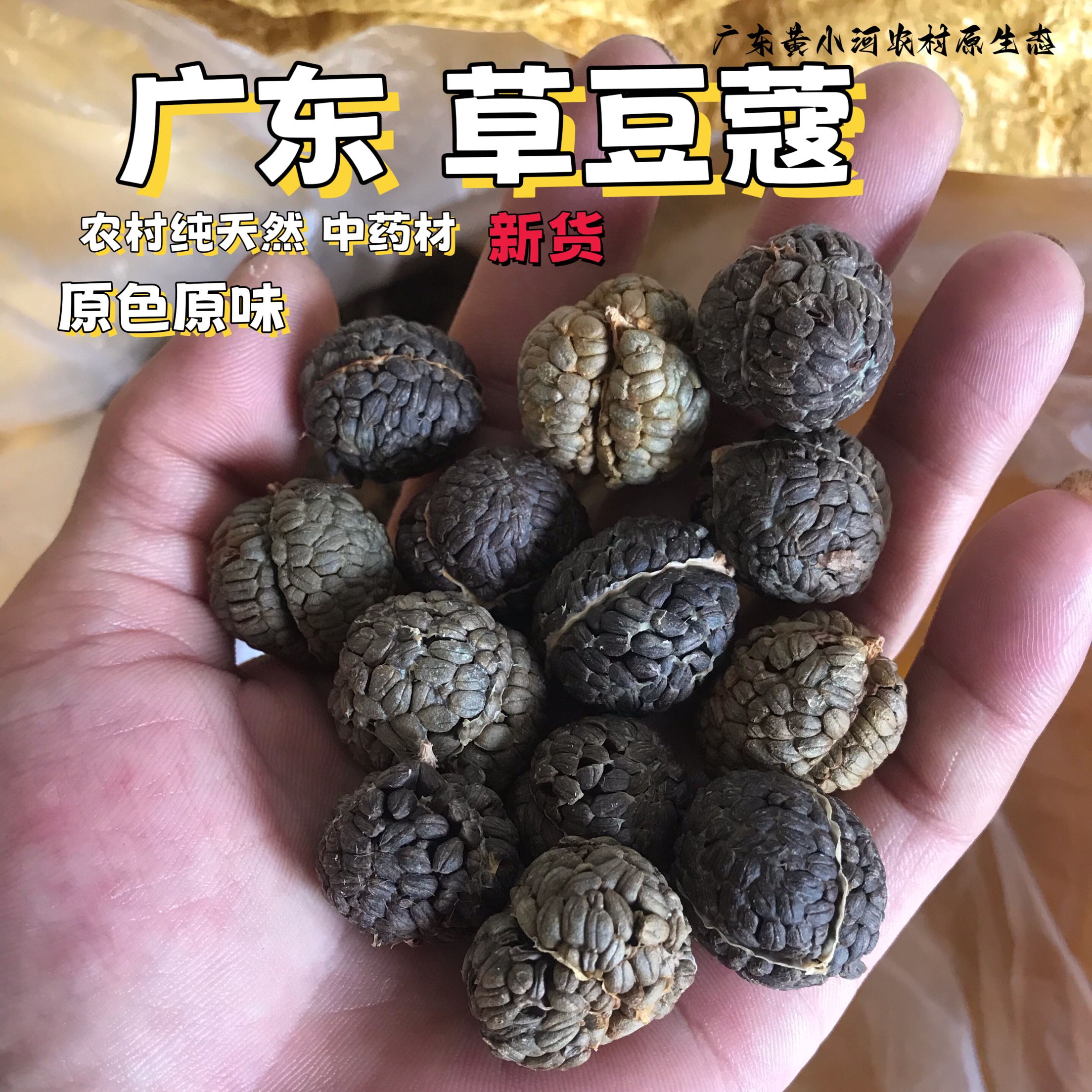 草豆蔻中药材 草寇豆蔻仁 草扣 草豆蔻粉卤料香料调料 500克包邮