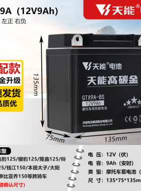 电池免维护摩托车电瓶12V9Ah太子跨骑车男士车男装车电池12N9-BS