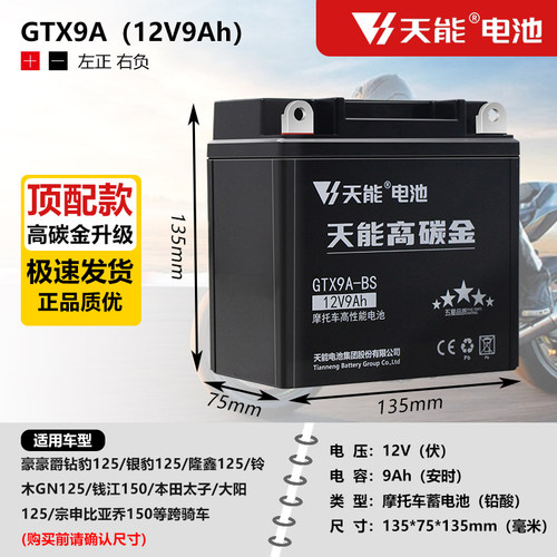 电池免维护摩托车电瓶12V9Ah太子跨骑车男士车男装车电池12N9-BS