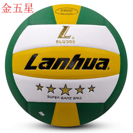 Ballon de volley - Ref 2008016 Image 1