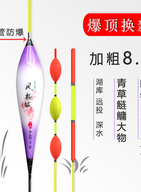 大物漂超醒目青鱼漂草鱼漂鲢鳙鱼漂高灵敏加粗远投翘嘴行程甩大鞭