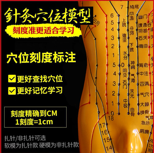中医十二经络小皮可扎针人体模型