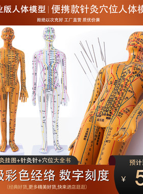 便携式扎针耳朵手脚部超清晰模型