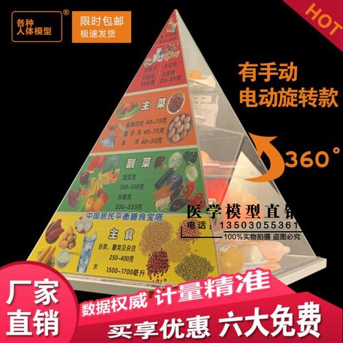 居民平衡健康营养仿真膳食宝塔