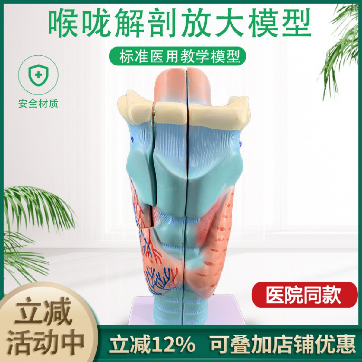 2倍放大咽喉模型喉咙解剖标本喉部血管甲状腺喉结喉头医教学仿真