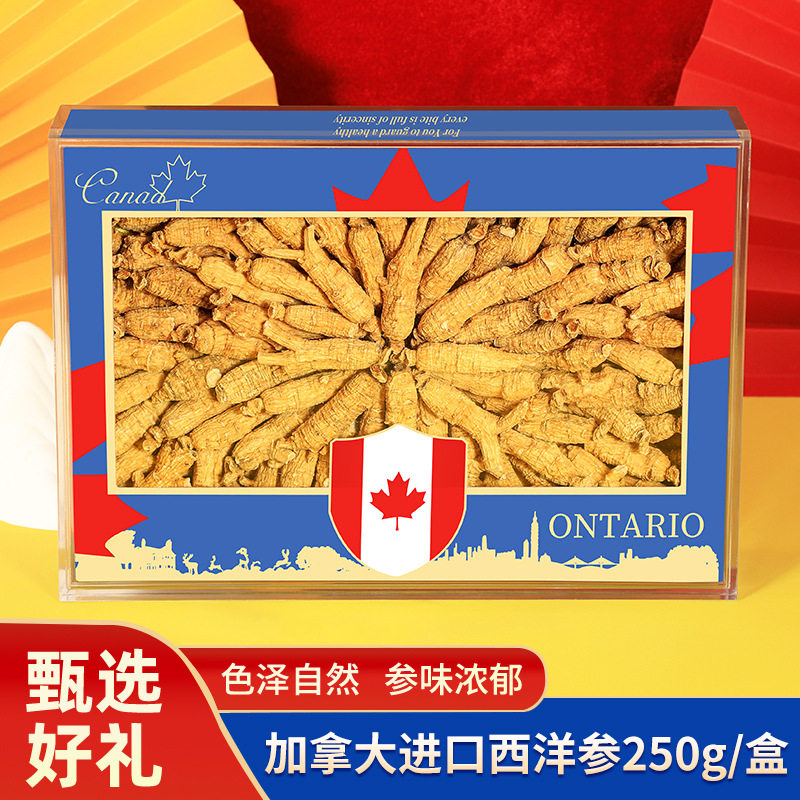 批发西洋参粒头花旗参足齢足干西洋参条250g一件代发