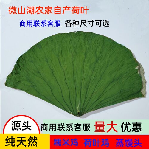 微山湖荷叶整张新鲜干荷叶250g包糯米鸡专用荷叶鸡叫花鸡专用