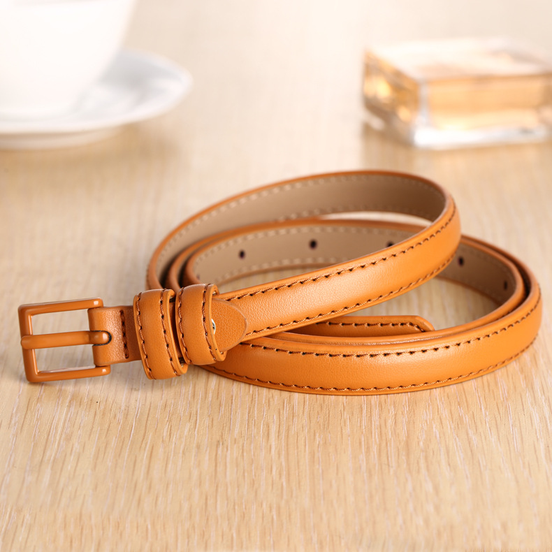 女士皮带女真皮时尚简约百搭针扣裤腰带女细韩国装饰通用学生裤带,模玩/动漫/周边/娃圈三坑/桌游,综合特摄专区,淘宝优惠券,粉丝福利购,淘宝优惠卷