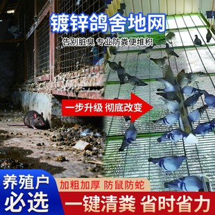 鸽舍地网养殖专用镀锌扁铁格栅板信鸽公棚猪狗笼用漏粪脚踏板底网