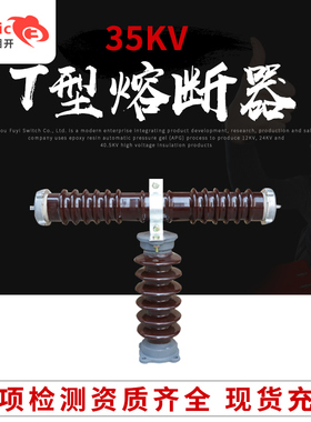 上海湘开35KV高压熔断器 户外T型陶瓷绝缘 RXWO-35 T型熔断器