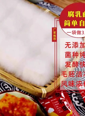 曲子腐乳曲粉自制长白毛臭豆腐霉豆腐乳毛豆腐发酵菌豆豉毛霉菌粉