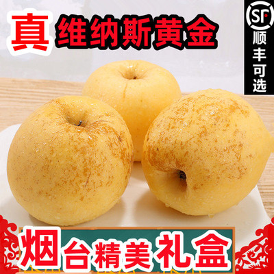 烟台维纳斯黄金苹果礼盒新鲜水果栖霞丑苹果冰糖心雀斑女神果彩箱