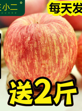 王小二果园】烟台苹果水果新鲜山东栖霞红富士大萍果10斤批包邮