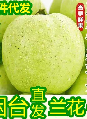 山东烟台王林苹果9斤新鲜多汁
