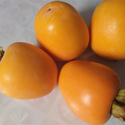 脆甜牛心柿子芒果柿子