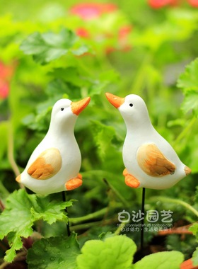 白色肥鸭子插件Zakka园艺杂货树脂花插苔藓多肉花盆微景观