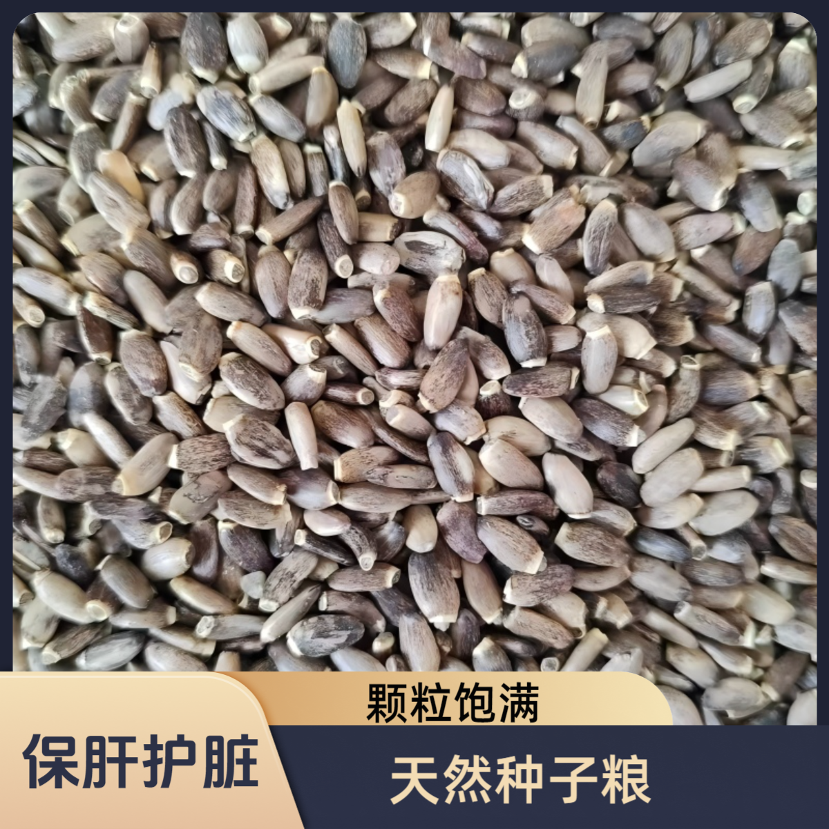 鹦鹉鸟食奶蓟子天然水飞蓟籽牡丹玄凤小太阳和尚奖励粮增强体质