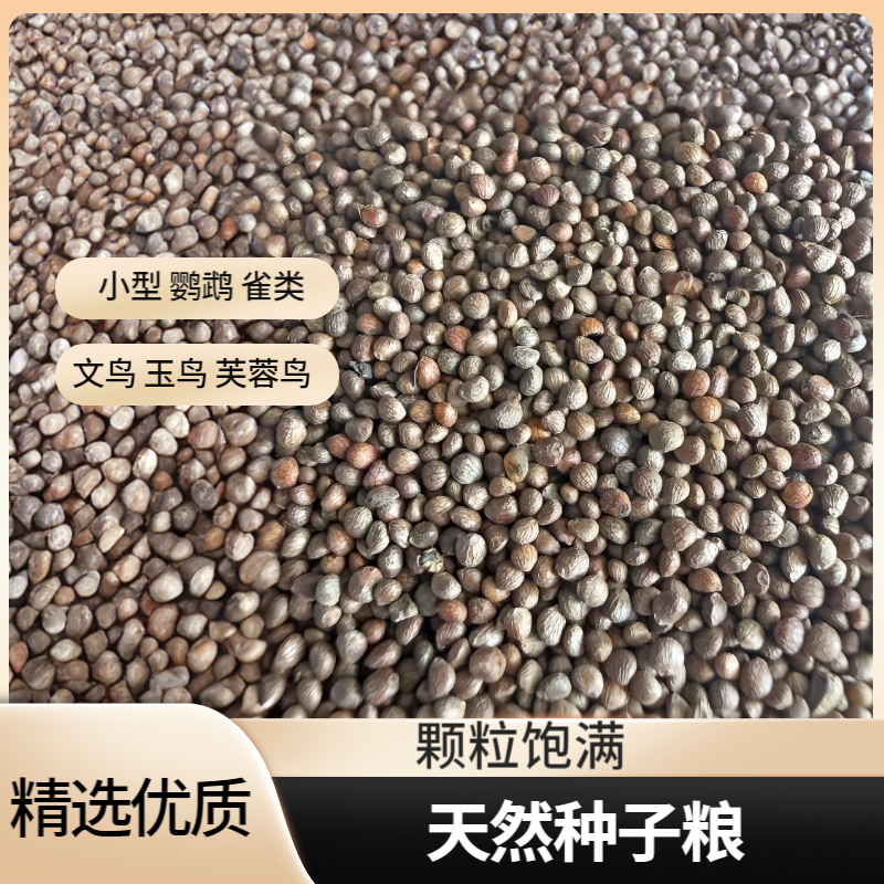 紫苏子鸟食 鹦鹉芙蓉鸟 玉鸟文鸟 金丝雀 黄鸟 金青 鸟粮饲料鸟食,宠物/宠物食品及用品,鸟食,淘宝优惠券,粉丝福利购,淘宝优惠卷