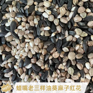 蜡嘴铜嘴混合粮老三样鸟粮 油葵 麻子 红花籽 鹦鹉粮 鹦鹉鸟食