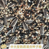 大型鹦鹉鸟食鸟粮金刚金太阳亚历绯胸灰鹦鹉折衷葵花饲料鸟粮