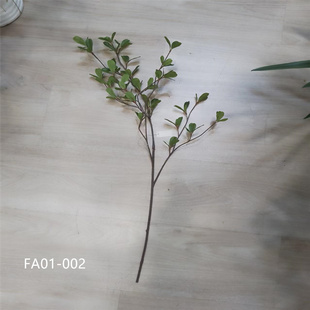 仿真绿植心叶榕尤加利叶发财叶榕叶假叶子长枝叶子花束搭配花材