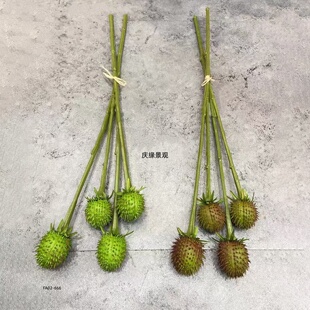 仿真玉兰带果红毛丹果假花室内装饰布景舞蹈道具造景