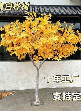 仿真白桦树室内外造景装饰假桦树