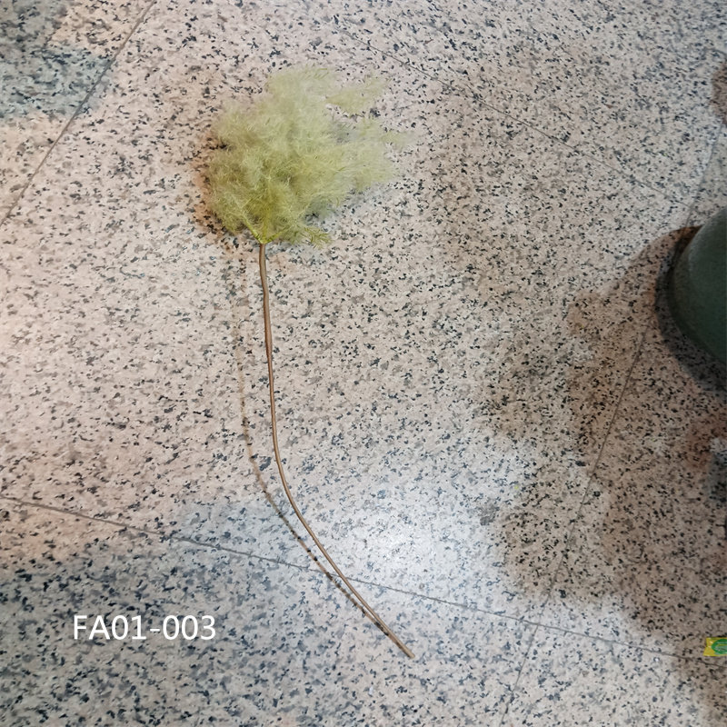 仿真黄栌芦苇草铁树叶干叶艺术装饰品园林造景布置秋色花艺布置