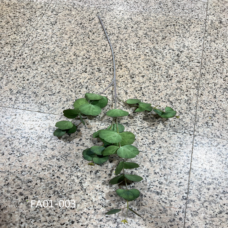 仿真苹果叶金钱叶尤加利叶仿真绿色植物装饰品背景装饰品花艺摆件