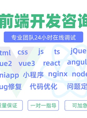 前端问题解决bug修复远程代码调试技术指导vue优化小程序定制开发