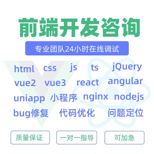 前端问题解决bug修复远程代码调试技术指导vue优化小程序定制开发