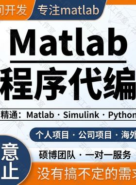 matlab代码代做程序代写问题解决数学建模复现simulink仿真代做