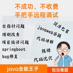java代码问题解决bug修改项目运行指导maven安装环境部署配置答疑