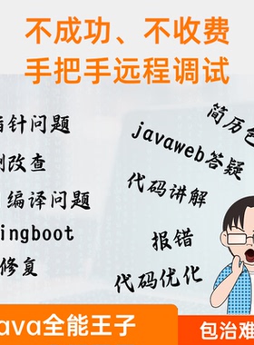 java代码问题解决bug修改项目运行指导maven安装环境部署配置答疑