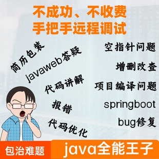 java代码调试bug修改项目运行维护指导maven环境安装配置部署答疑