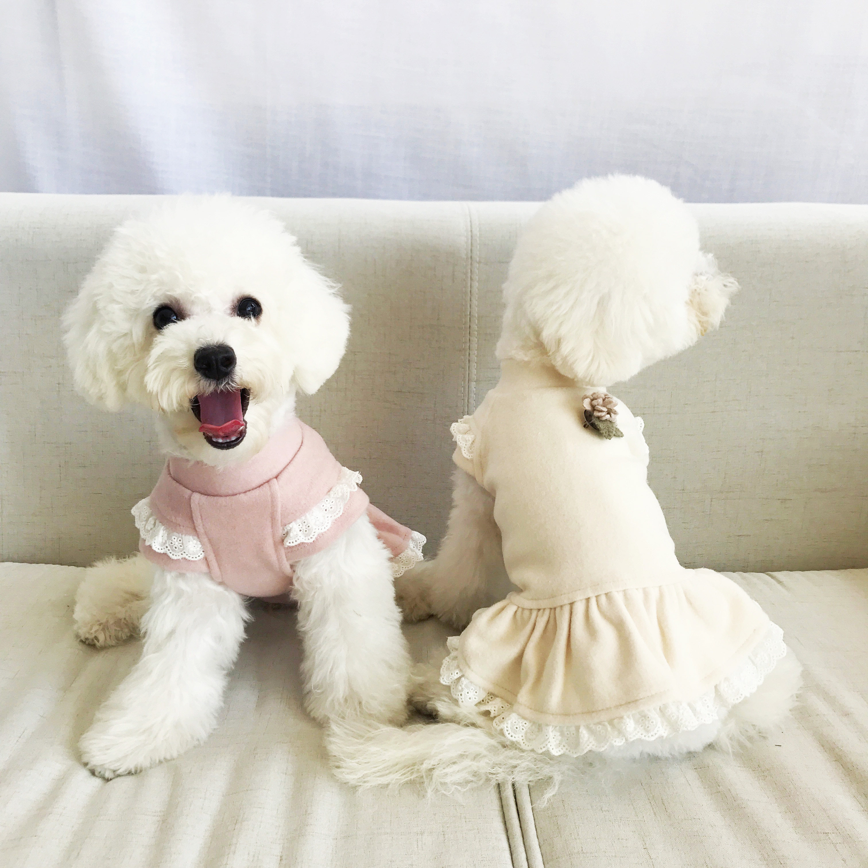 秋冬韩版宠物丁香胸针花边裙子狗狗衣服秋装泰迪小狗公主风连身裙